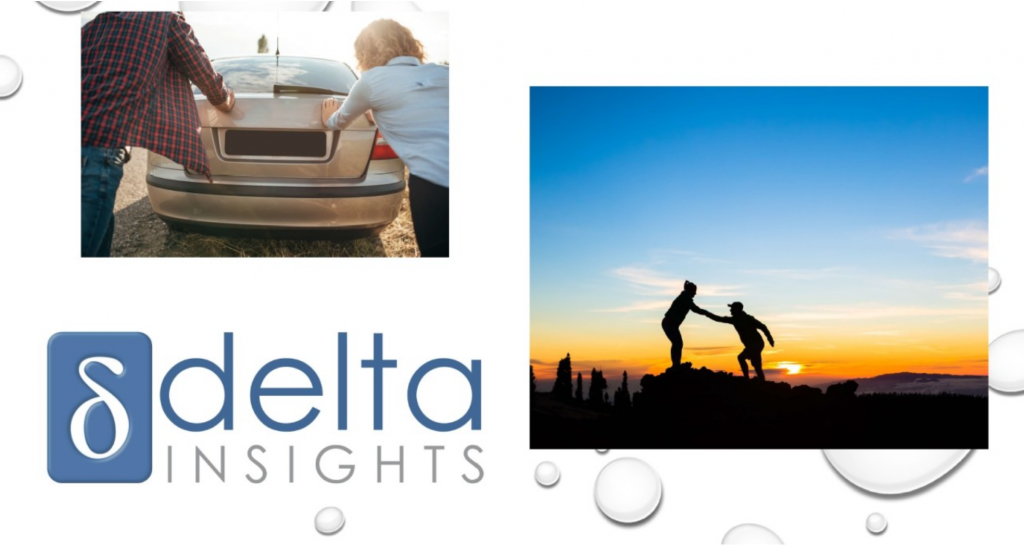 Delta Insights Dynamics CRM partner of choice